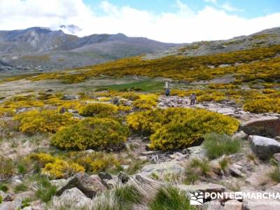 Parque Regional Sierra de Gredos - Laguna Grande de Gredos;grupo de senderismo madrid;viajes puente 